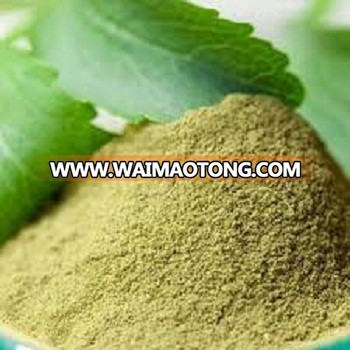 Stevia Powder